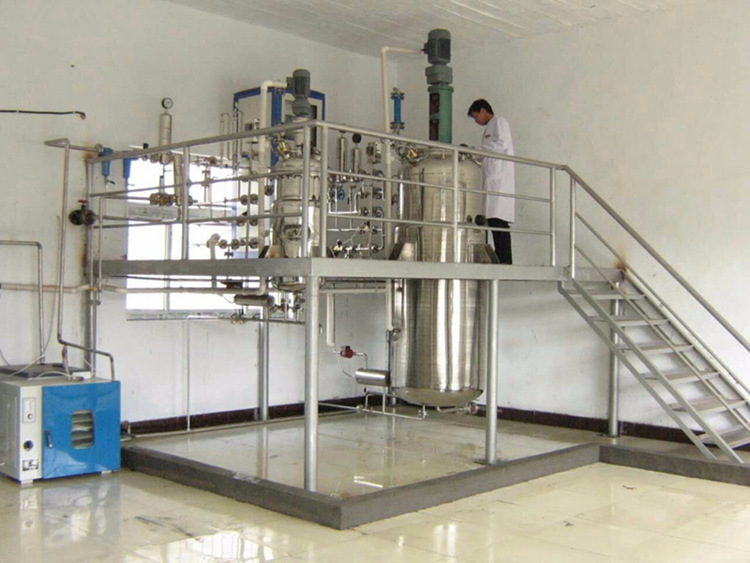 乳酸菌发酵剂的生产工艺流程